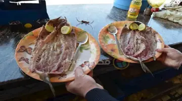 أسعار الرنجة والفسيخ في 4 سلاسل تجارية كبرى قبل شم النسيم